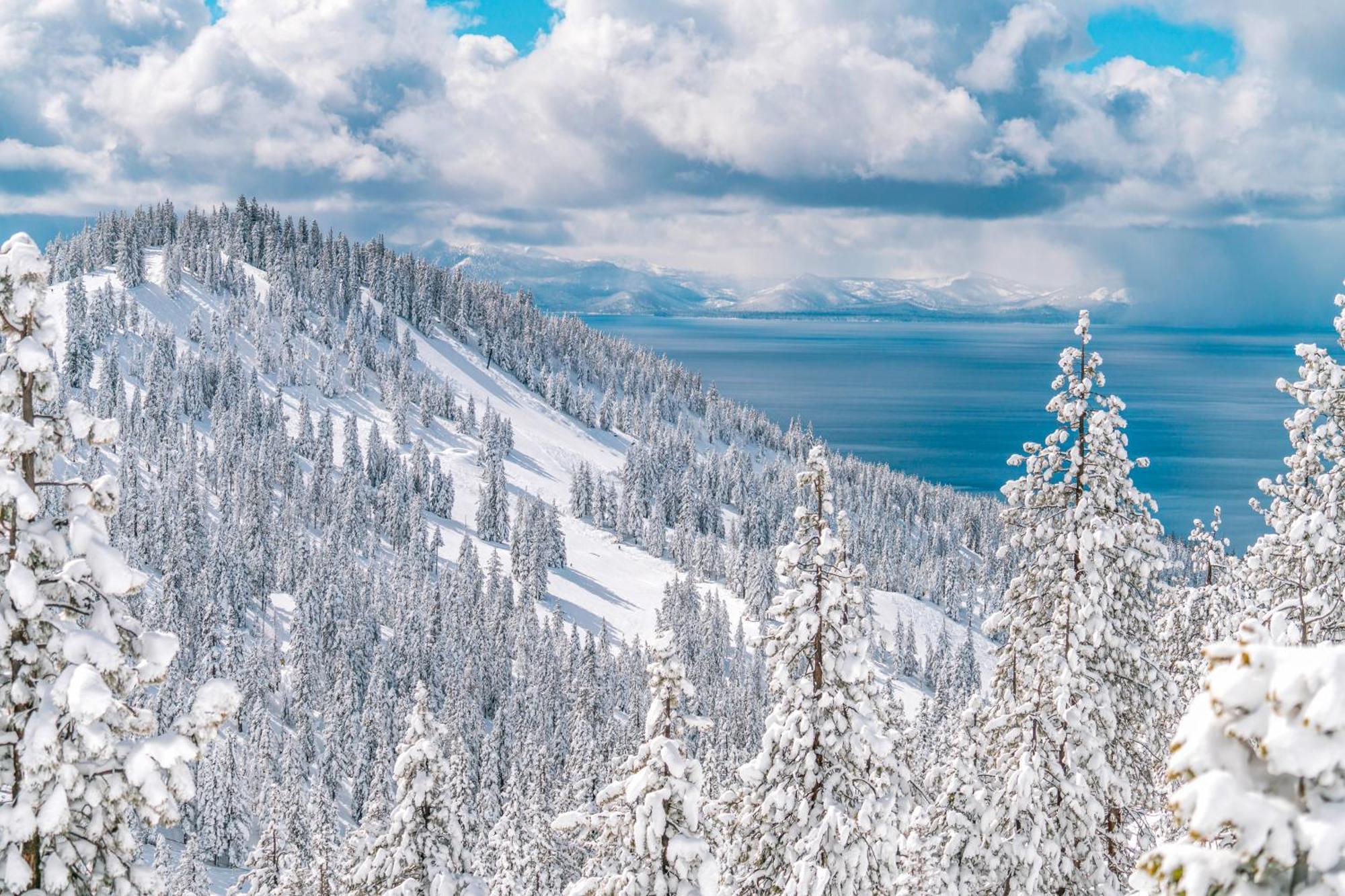 Tahome & Tahoe Place Incline Village Room photo